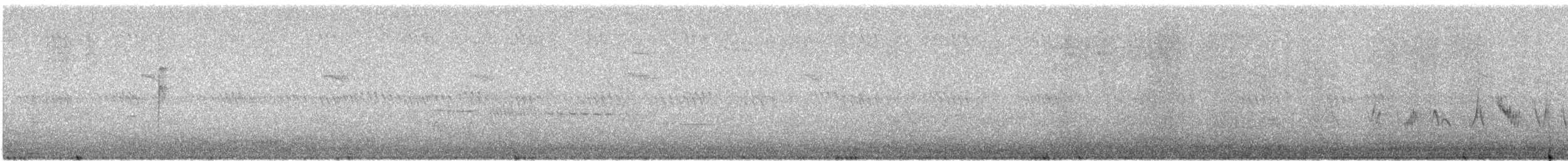Cassin Serçesi - ML621035440