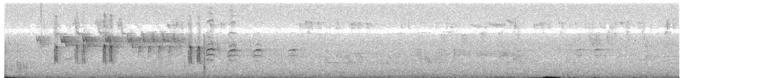 křivka bělokřídlá - ML621037798