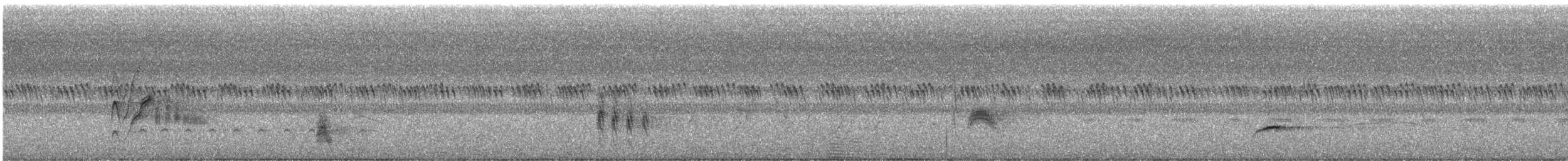 Tyran à bec épais - ML621039170