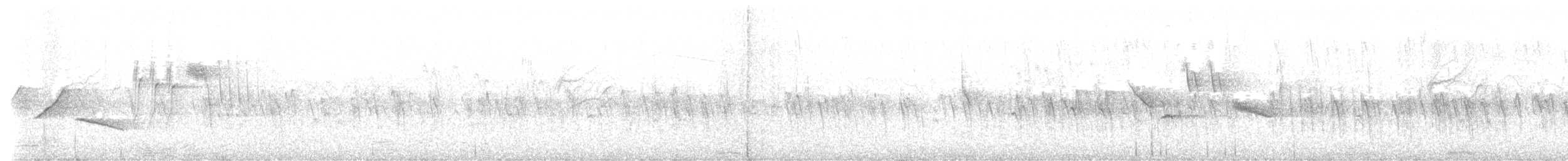 Шишкар ялиновий - ML621042006