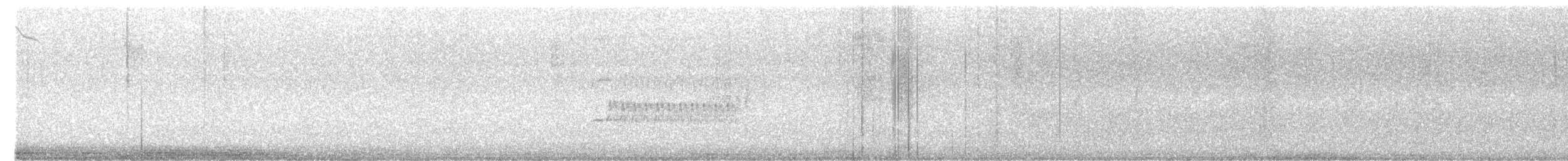 Çizgili Sinek Tiranı - ML621042053