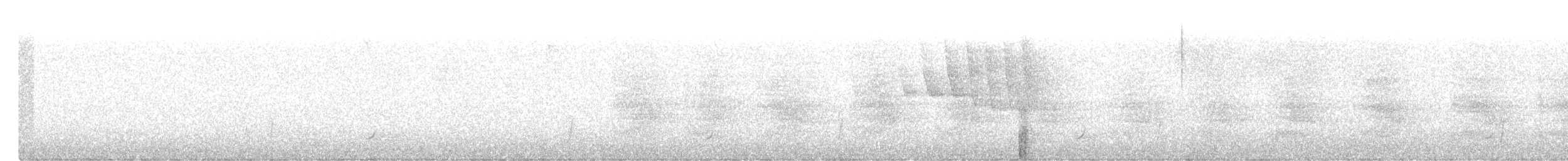 Paruline à calotte noire - ML621042513