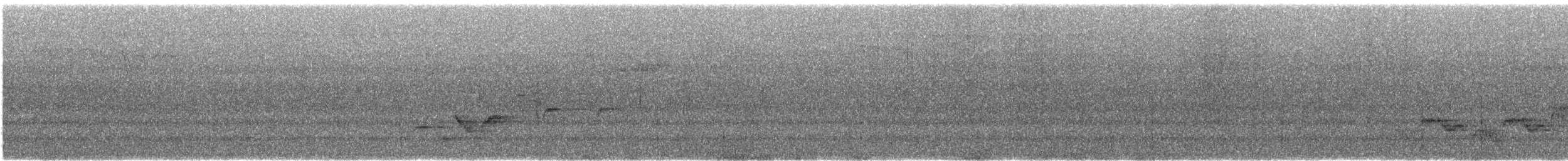 Дрізд-короткодзьоб Cвенсона - ML621042551