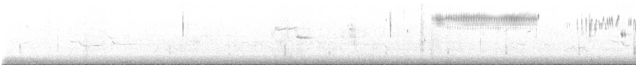 Кузнечиковая овсянка-барсучок - ML621042895