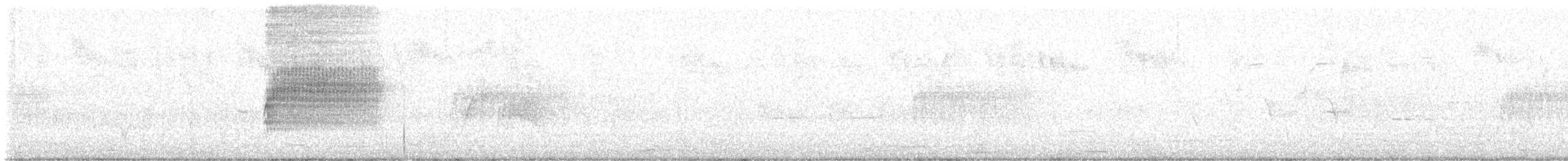Тауї плямистий - ML621044056