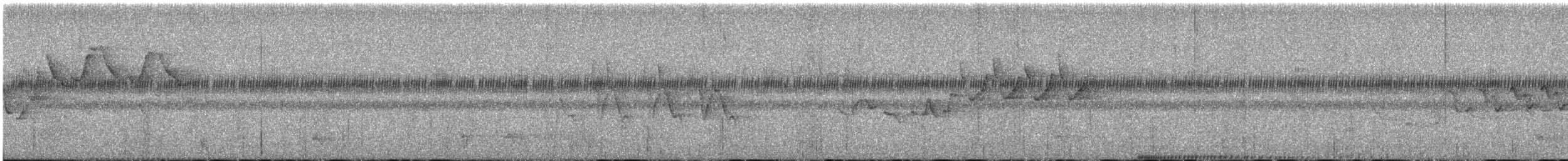 Insellaubsänger (ceramensis) - ML621044745