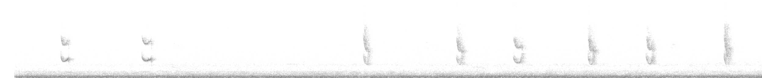 Graustirn-Dickichtschlüpfer - ML621044797