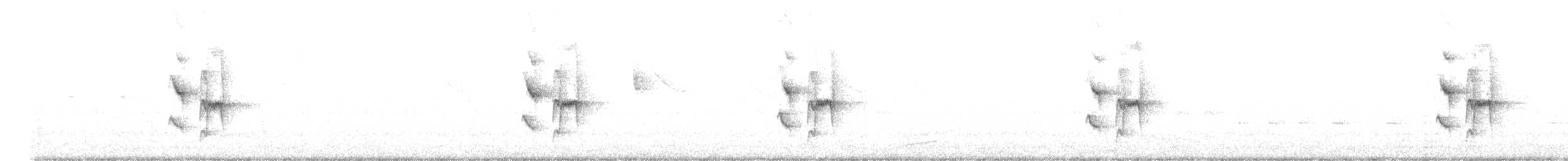 Graustirn-Dickichtschlüpfer - ML621044804