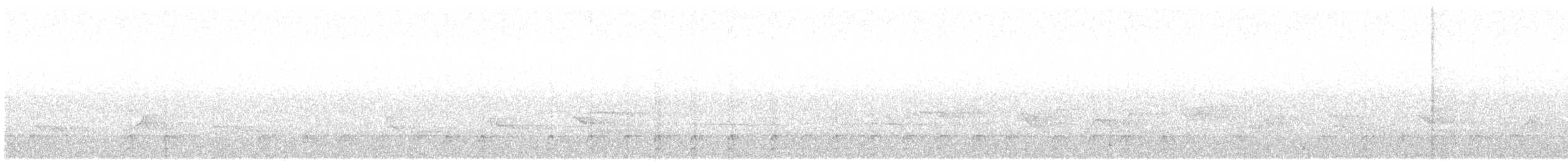 hvitbrynsvartspett - ML621046718