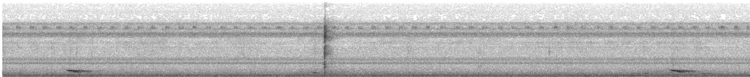 Collared Scops-Owl - ML621046826