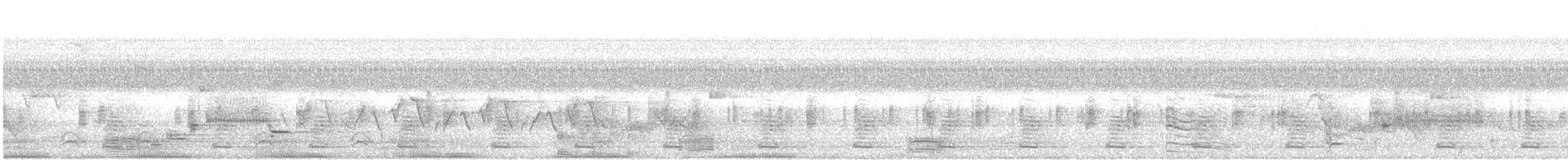 Ібіс білий - ML621048710