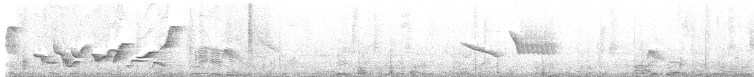 インカマユミソサザイ - ML621051568