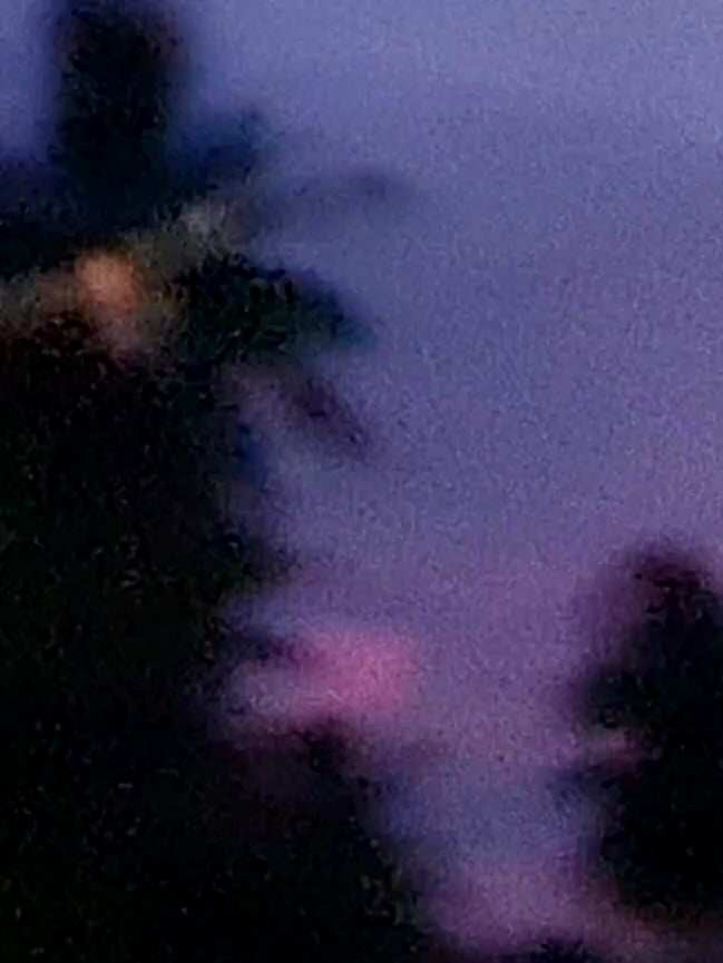 Philippine Nightjar - ML621052937