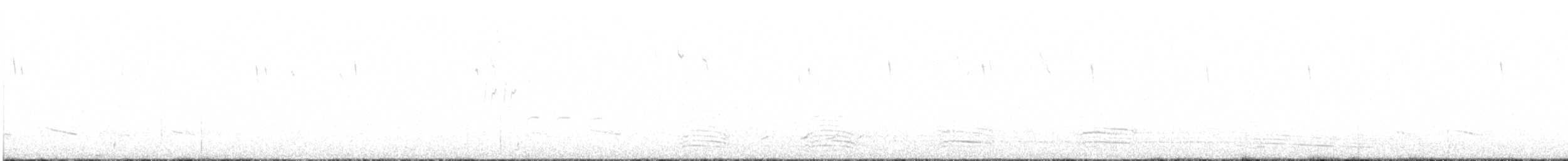 Cuervo Australiano - ML621053562