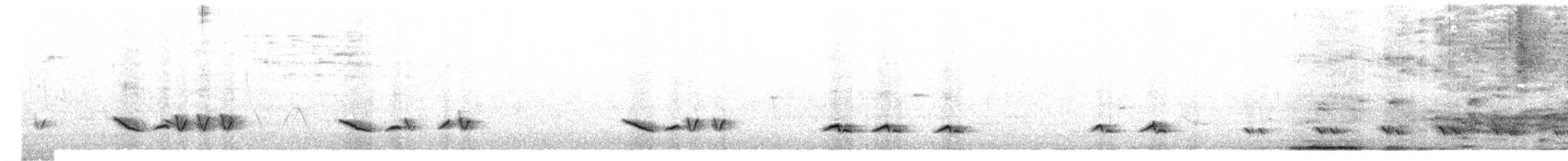 Sinsonte Norteño - ML621054344