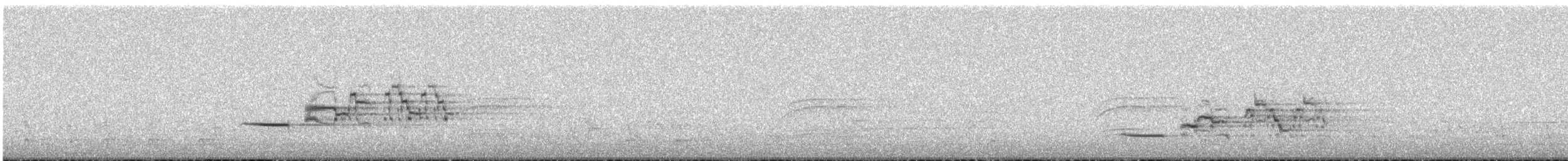 Дрізд-короткодзьоб плямистоволий - ML621055269