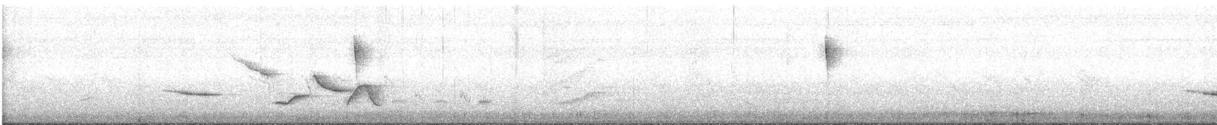 Spot-breasted Wren - ML621055737