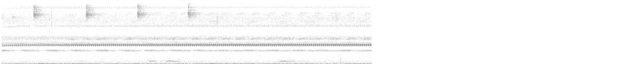 Сова плямиста (підвид lucida) - ML621056548