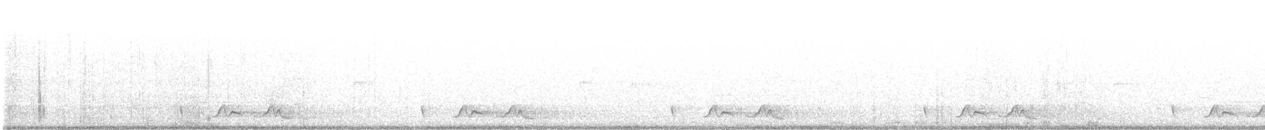 Carolinanachtschwalbe - ML621056877