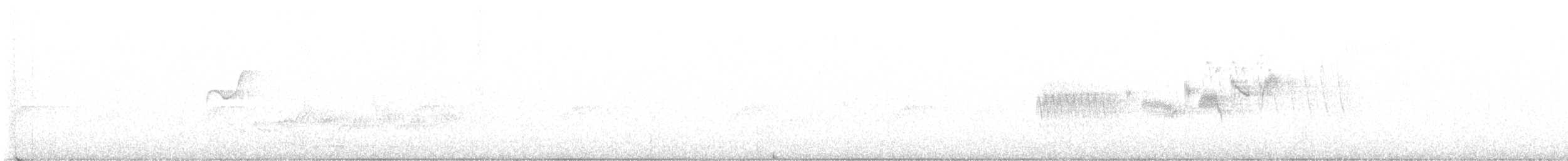 Black-throated Gray Warbler - ML621057035