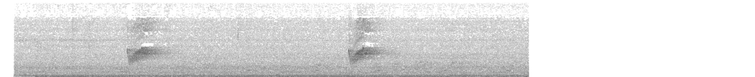 Savannennachtschwalbe - ML621057970