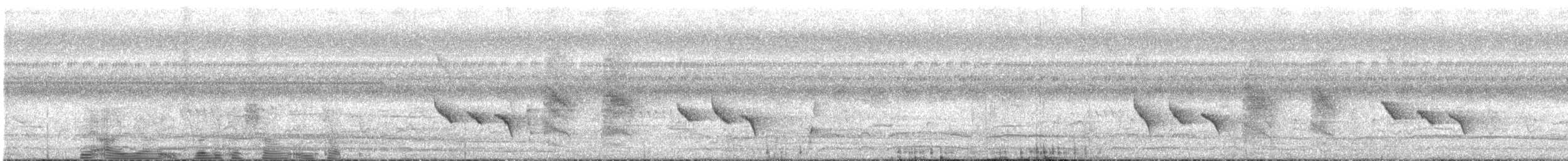 Филиппинский дронго (mirabilis) - ML621058035