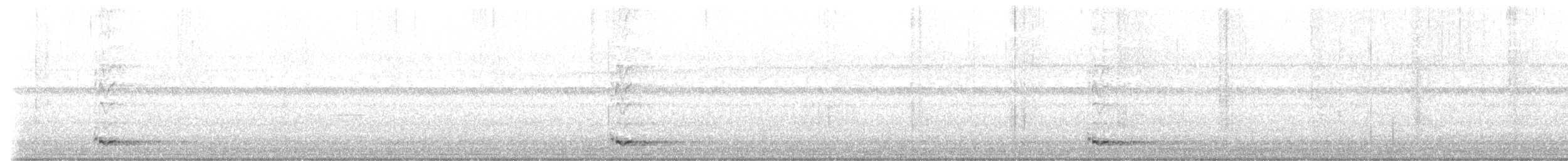 Neuirland-Blaubrustpitta (gazellae) - ML621058371