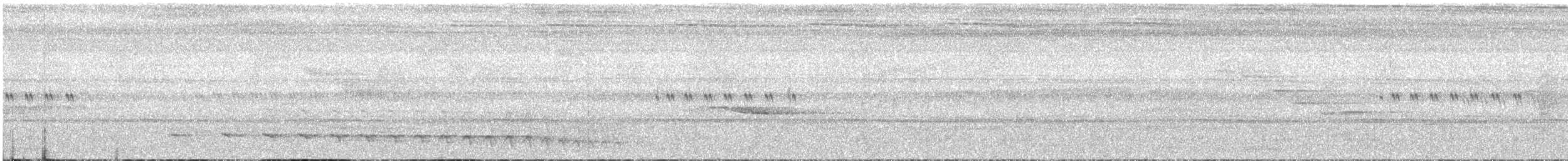 Scarlet-rumped Trogon - ML621058930