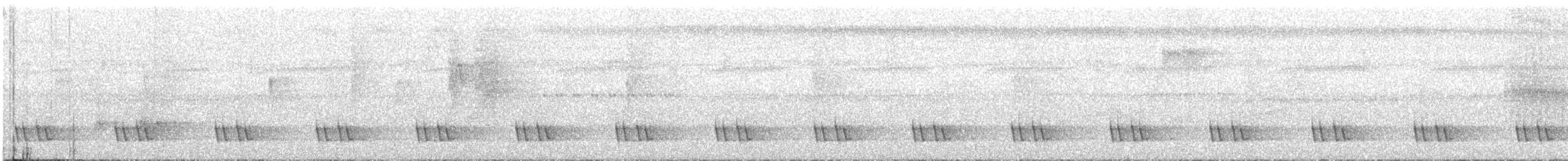 Kara Kulaklı Barbet - ML621059216