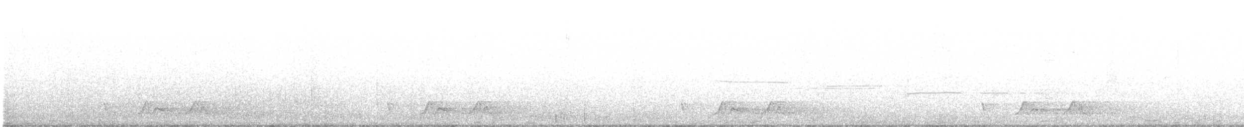 Carolinanachtschwalbe - ML621060485