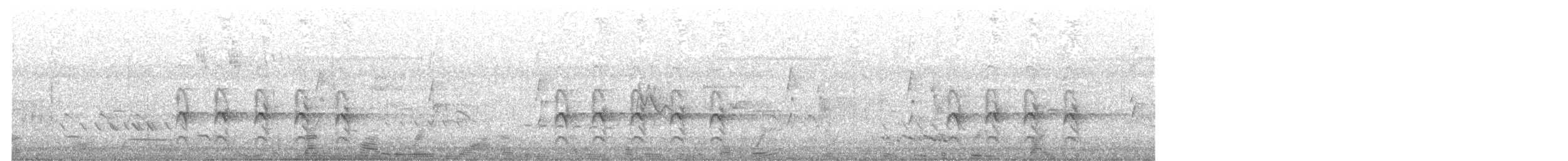 Sacred Kingfisher - ML621061133