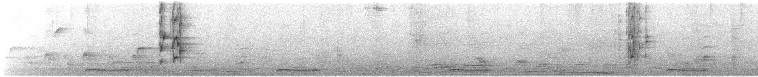 svarthodet dvergpapegøye (domestisert) - ML621062552