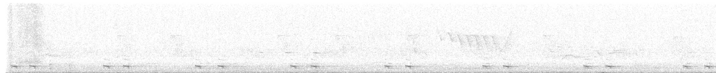 Black-billed Cuckoo - ML621062897