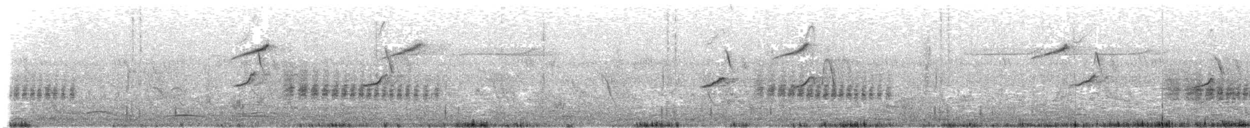 White-tailed Iora - ML621066518