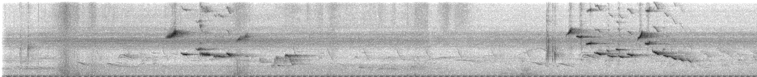 Papamoscas de Tickell - ML621067241