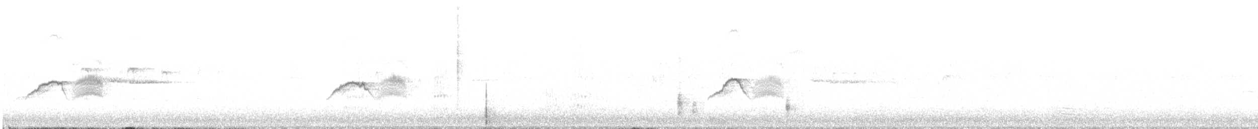 Светлобрюхий фиби - ML621068917