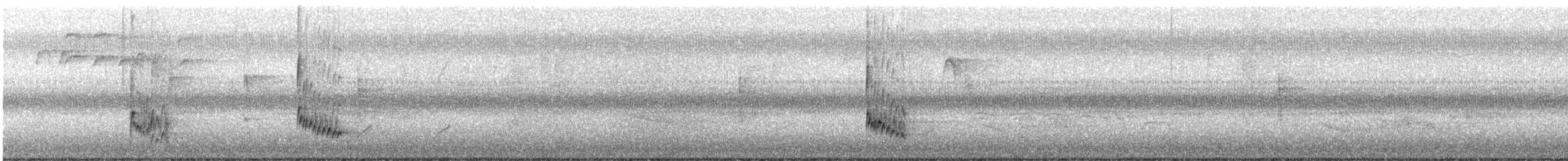 Поплітник каролінський - ML621069365