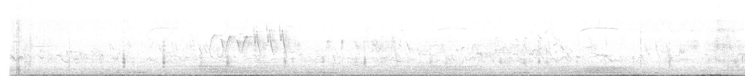 pygmérørdrum - ML621069812