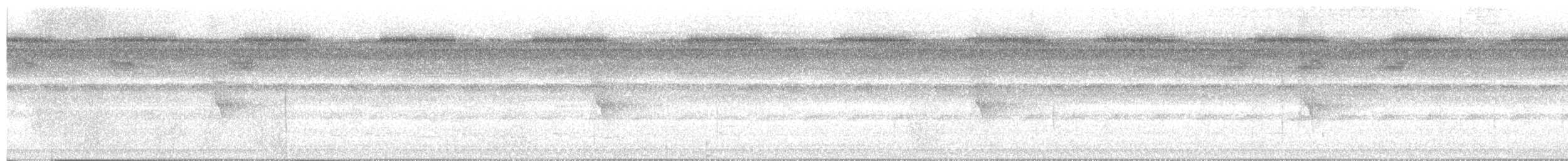 Schmalbrauen-Ameisenschnäpper - ML621071059
