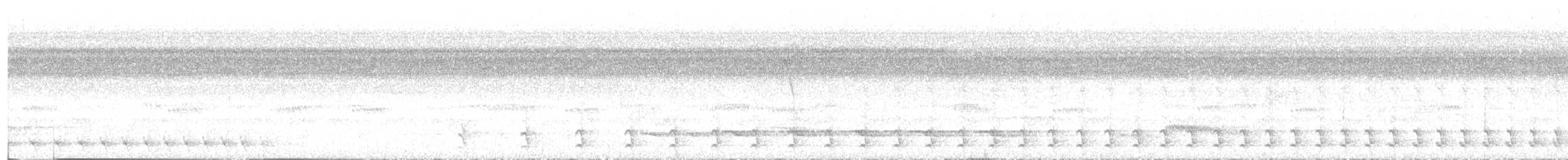 Weißbrust-Ameisenwürger - ML621071194