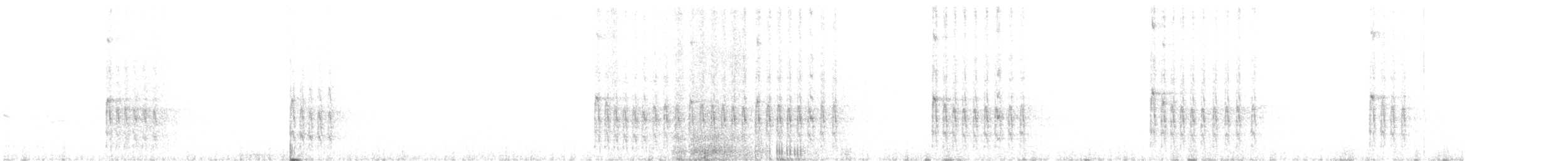 strakapoud bělohlavý - ML621072852
