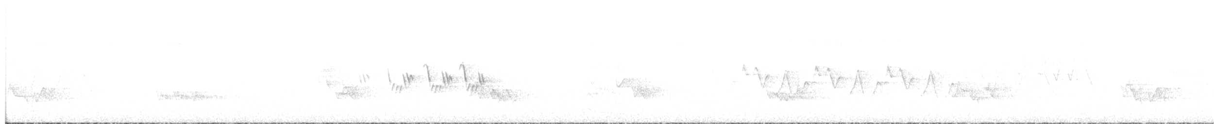 Черногорлая хвойница - ML621073170