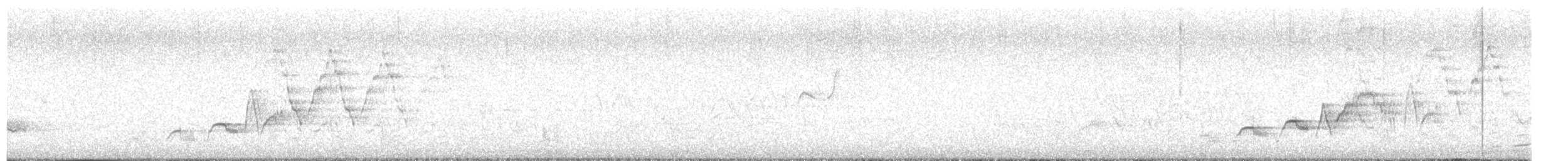 Дрізд-короткодзьоб Cвенсона - ML621074478