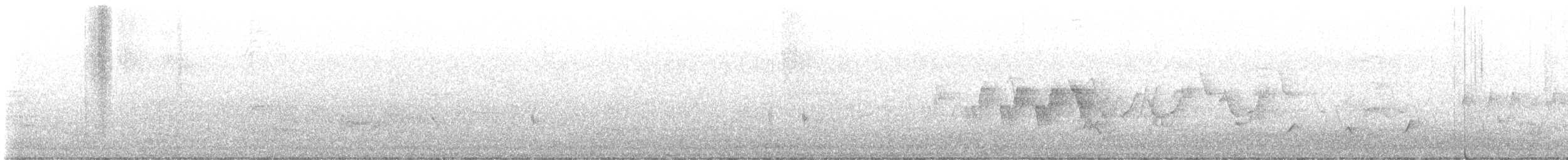 Черногорлая хвойница - ML621077199