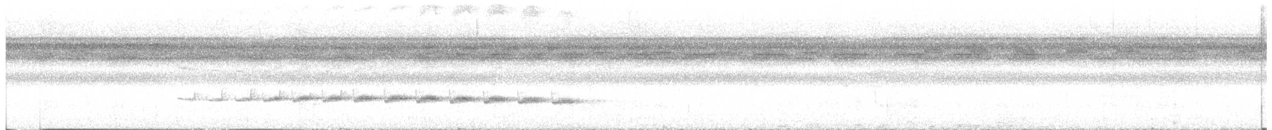 Schmalbrauen-Ameisenschnäpper - ML621077211