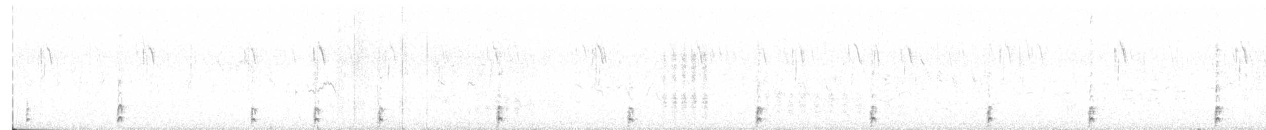 Gallinule poule-d'eau - ML621077291