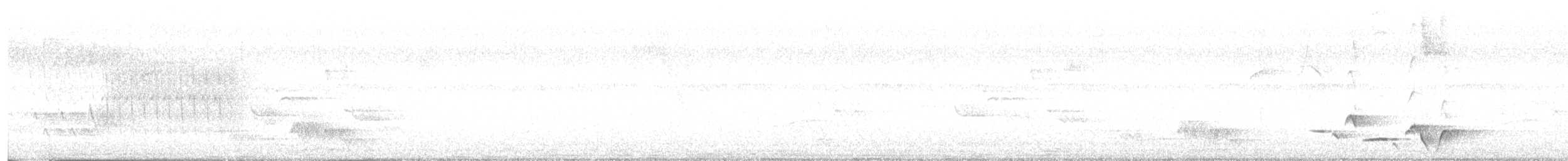 Поплітник смугастощокий - ML621077552