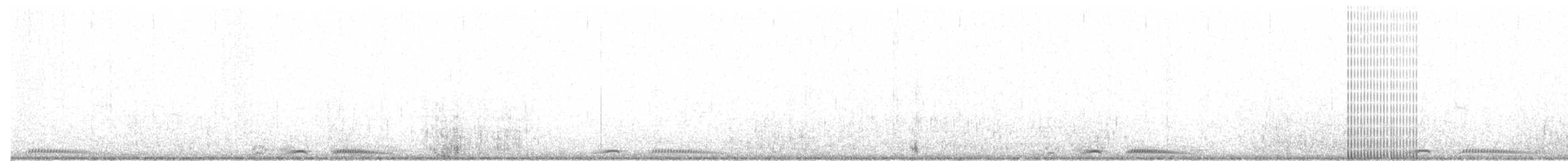 珠頸斑鳩 - ML62107931