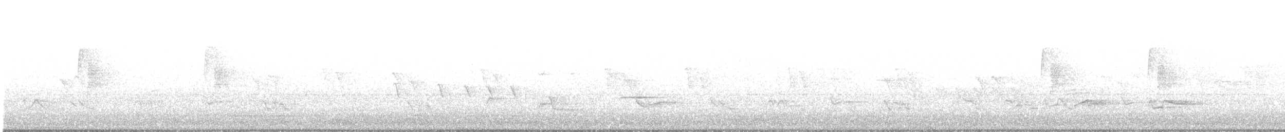 Küçük Boreal Sinekkapan - ML621079692