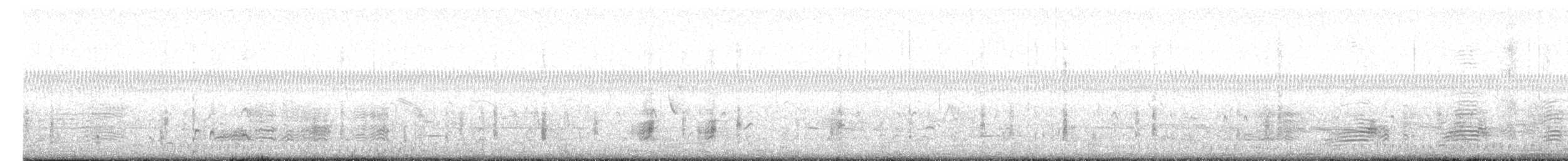 Ibis à face blanche - ML621081945